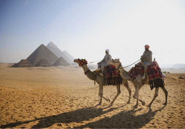 استكشف المتاحف والتنوع والطاقة <i class='fa fa-long-arrow-left color'></i>